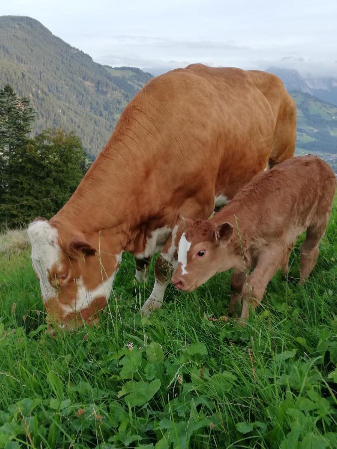Villa Hahnenkammblick Kitzbühel Exterior foto