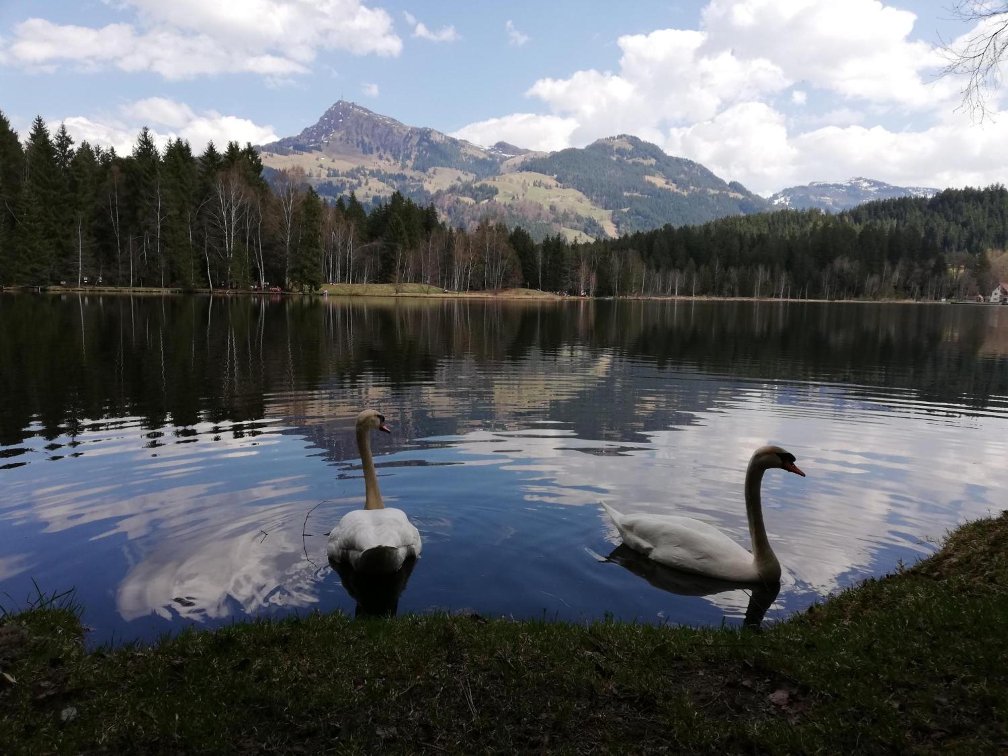 Villa Hahnenkammblick Kitzbühel Exterior foto